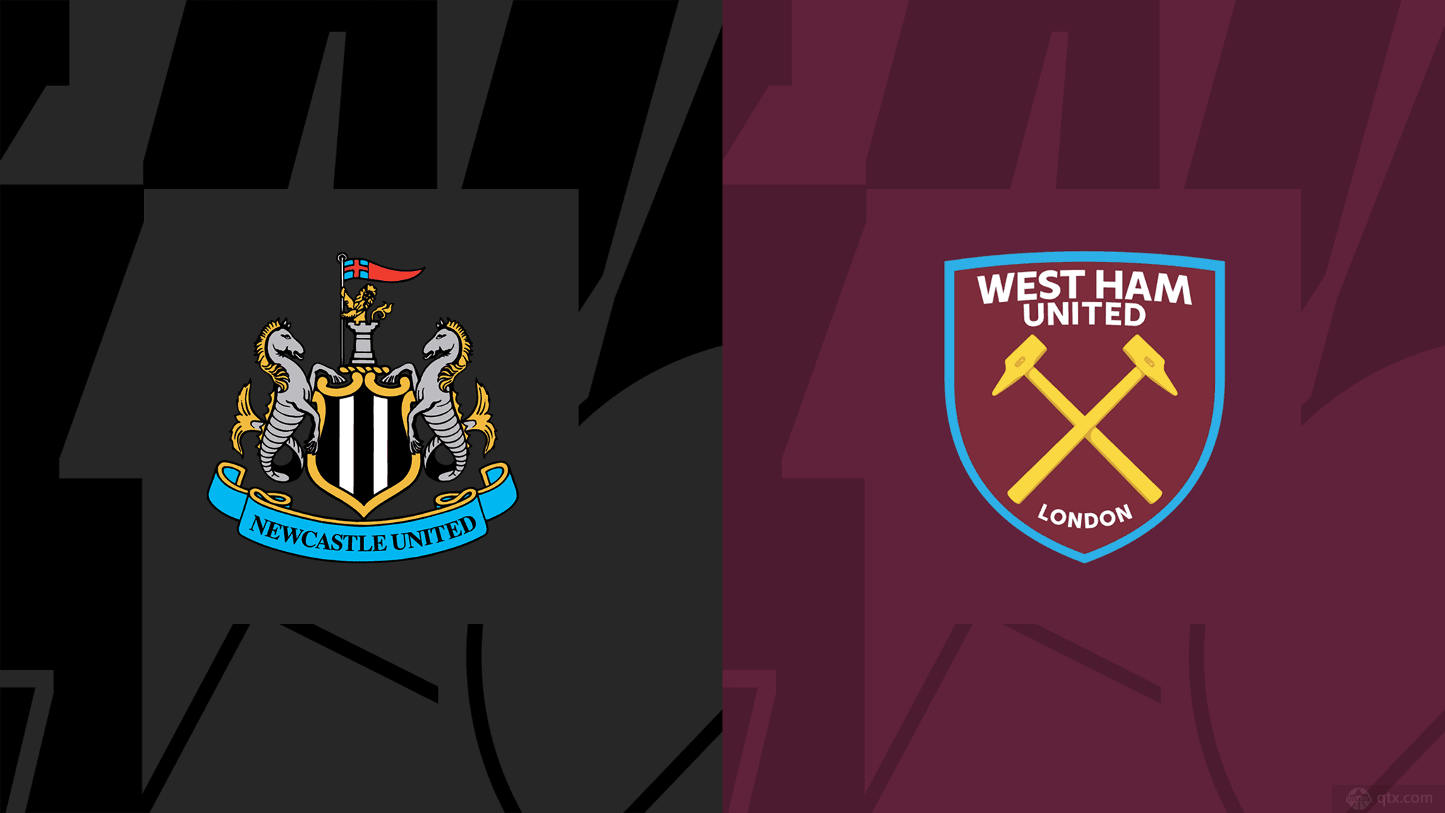 球员和球队 球员和球队