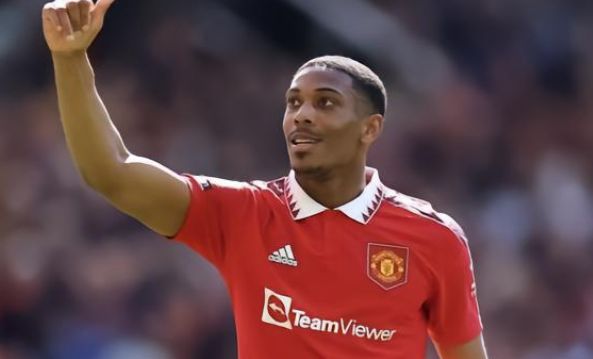 抗比他高大 抗比他高大